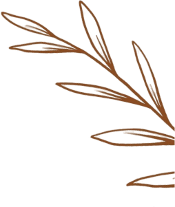 /banner-one-shape