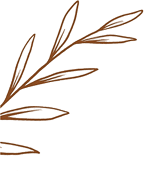 /banner-one-shape