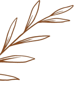 coffee-gallery-shape